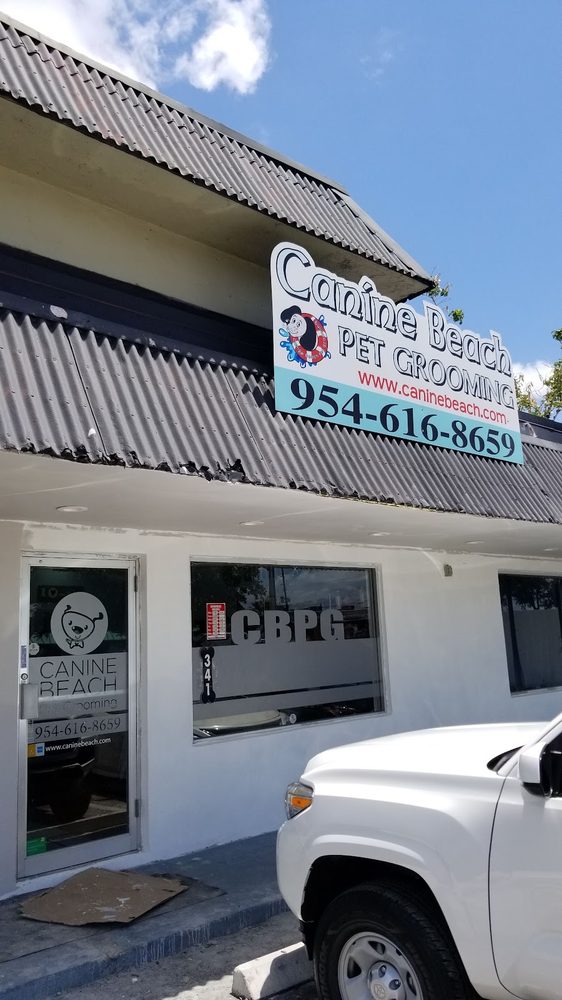 canine beach building sign