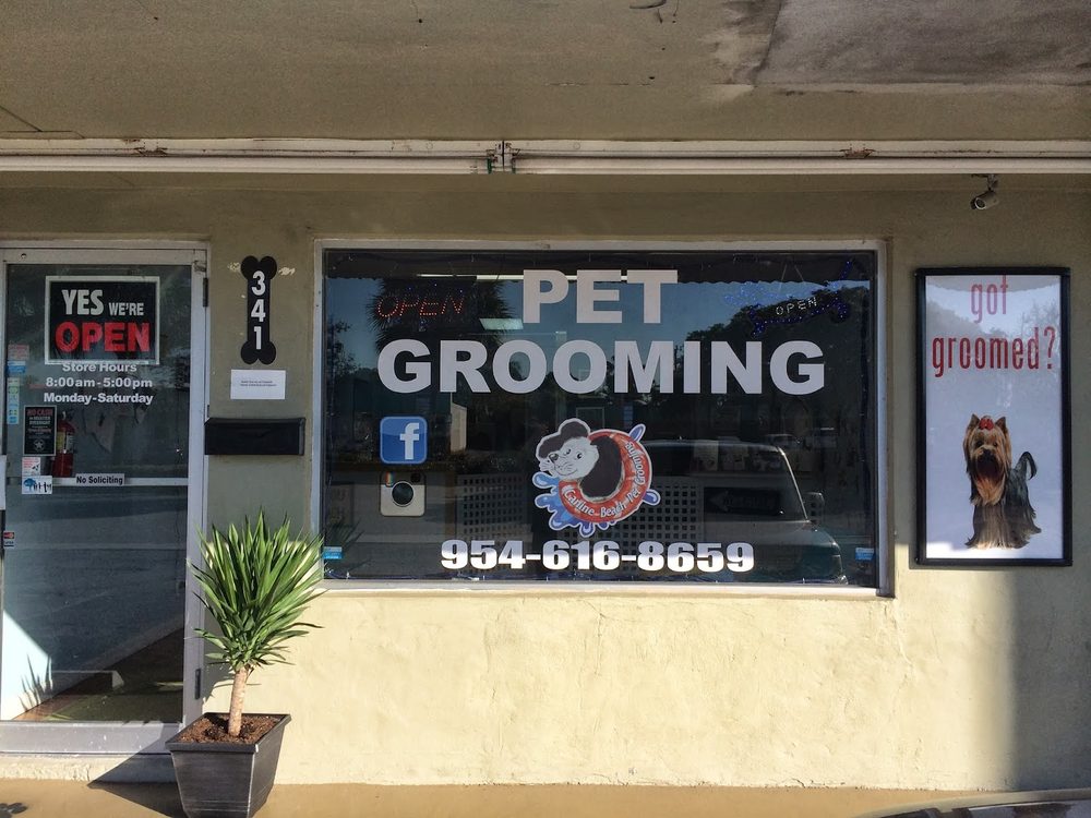 The Canine Beach Pet Grooming storefront window in Oakland Park