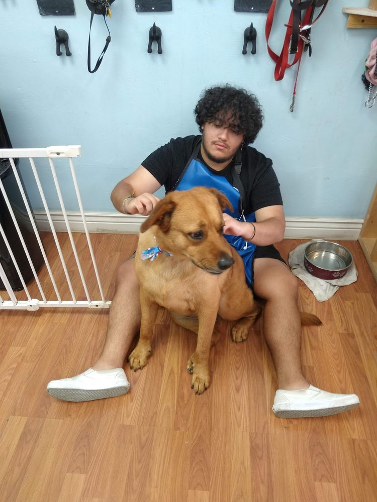 A Canine Beach groomer with a happy dog at the salon